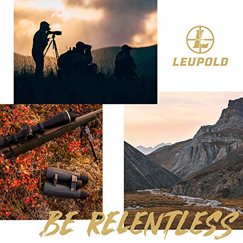 Leupold DeltaPoint Pro Red Dot Sight, 2.5 MOA