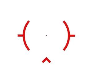 EOTECH EXPS2-DCR Holographic Red Dot Sight