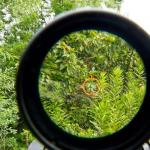 Red and Green Holographic Sight with 3x/5x Magnifier