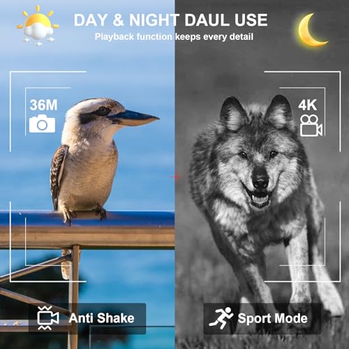 Fallmist 4K Night Vision Binoculars for Adults – HD Night Vision Goggles with 8X Digital Zoom, 3.2" Screen, and 32GB Memory Card for Hunting, Camping, & Security