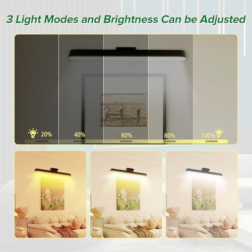 2-Pack 16inch Battery Operated Picture Lights with Remote