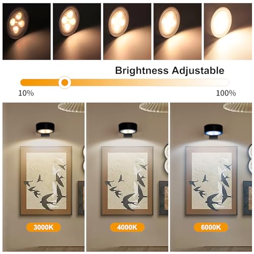 Blisaleiip 3Pcs Remote Control Battery Operated Picture Lights
