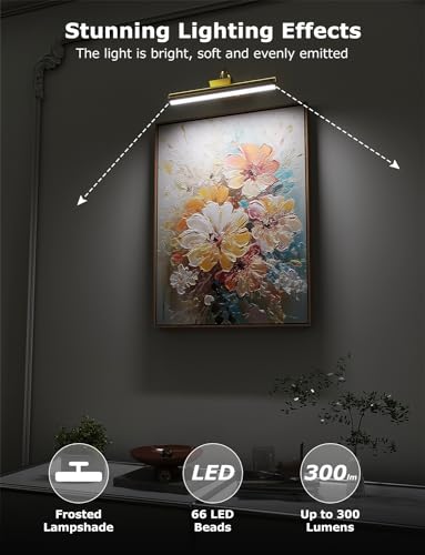 Skairipa Wireless Picture Light 2 Pack, 3 Color Modes
