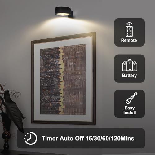 Blisaleiip 3Pcs Remote Control Battery Operated Picture Lights