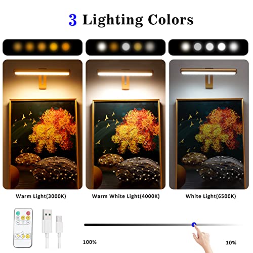 ZOCALOK Rechargeable Cordless Picture Light with Remote Adjustment