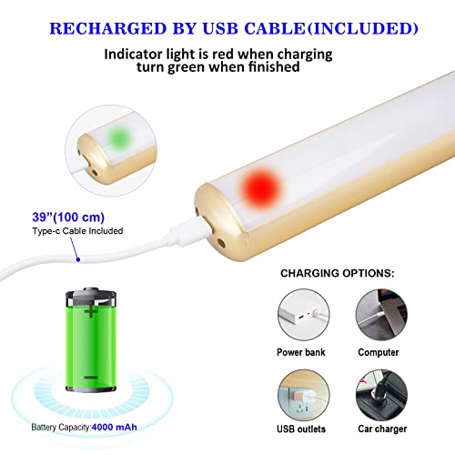 ZOCALOK Rechargeable Cordless Picture Light with Remote Adjustment