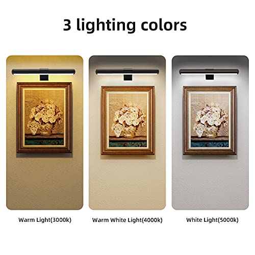 Wireless LED Picture Light with Remote, Rechargeable, 300Lumens