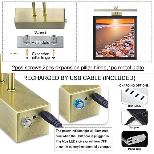 16in Battery Operated Picture Light with Remote Control