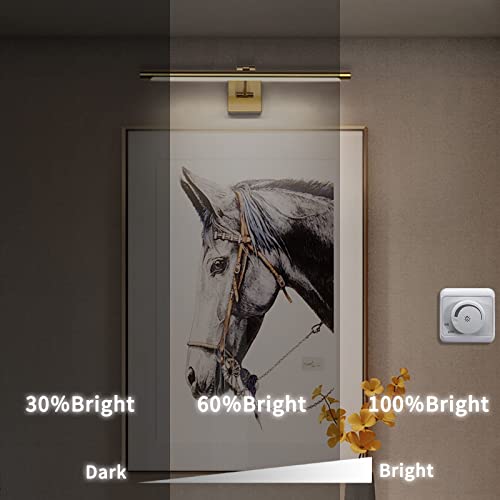 Joosenhouse Dimmable LED Picture Light Fixture - Swing Arm