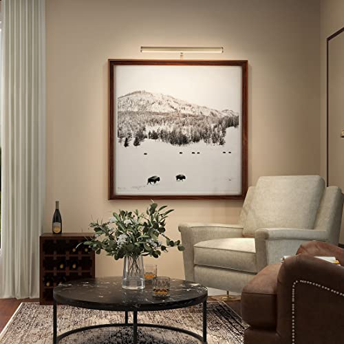 Xbuyee LED Picture Lights, 14 Inch Antique Brass