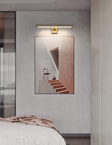Joosenhouse Dimmable LED Picture Light Fixture - Swing Arm