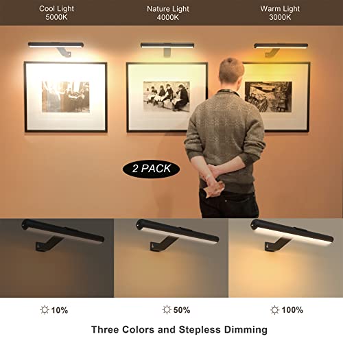 2pack Rechargeable Picture Lights with Remote, Metal, Black