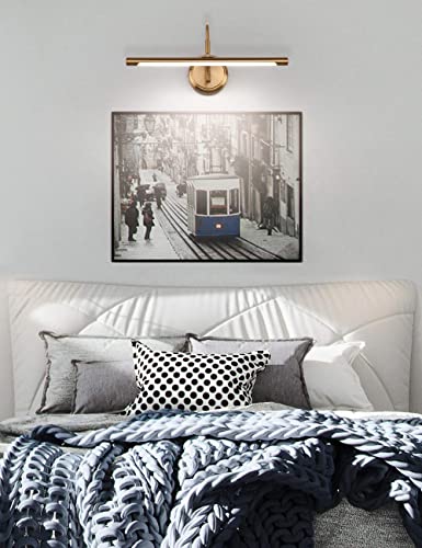 Modern Brass Picture Lights for Artwork Display, LED Swing Arm