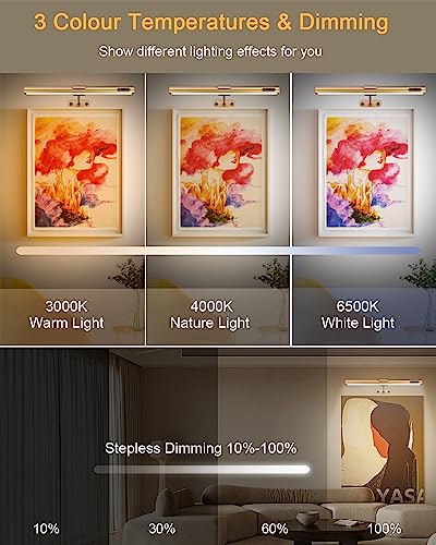 Rose Gold Picture Light - Remote Control, Rechargeable