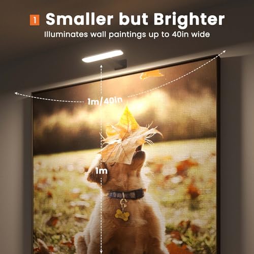 2 Pack LED Picture Lights with Remote Control