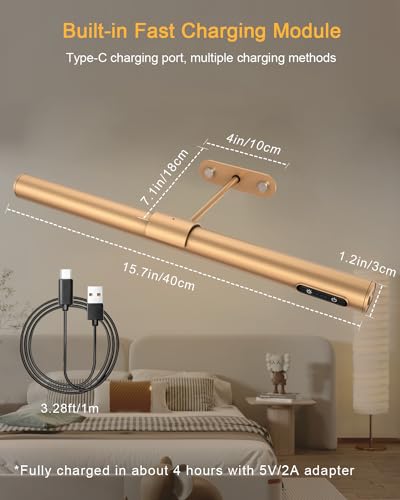 Rose Gold Picture Light - Remote Control, Rechargeable