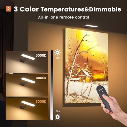 2 Pack LED Picture Lights with Remote Control