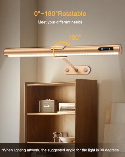 Rose Gold Picture Light - Remote Control, Rechargeable