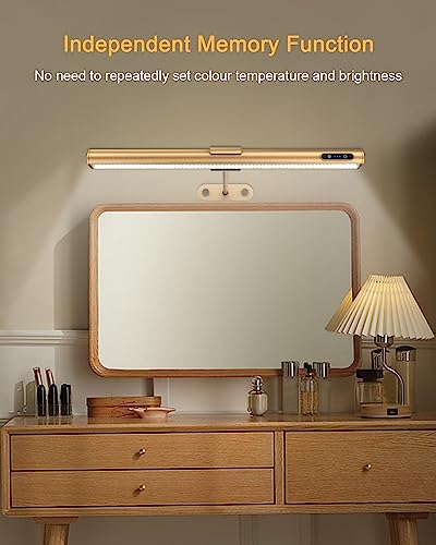Rose Gold Picture Light - Remote Control, Rechargeable