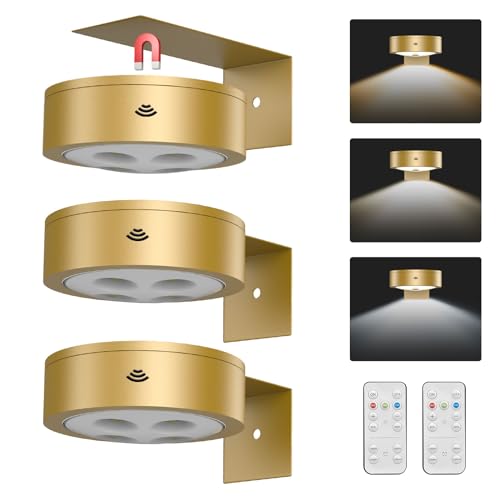 EUIOKUN 3Pack Wireless Picture Light, Remote Controlled