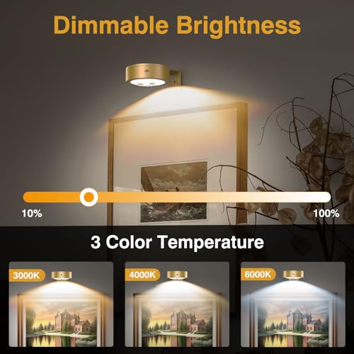 EUIOKUN 3Pack Wireless Picture Light, Remote Controlled