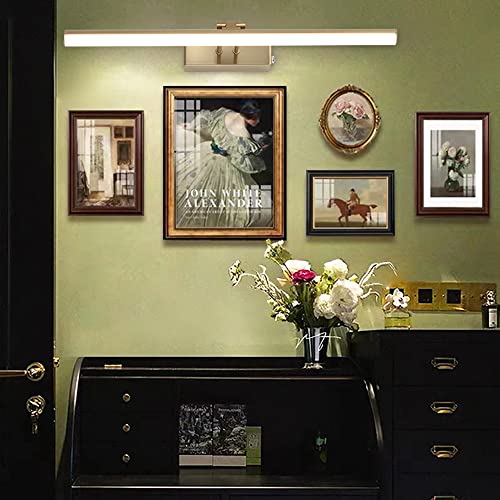 HOWMZON Battery Operated Art Picture Light 16" Brass