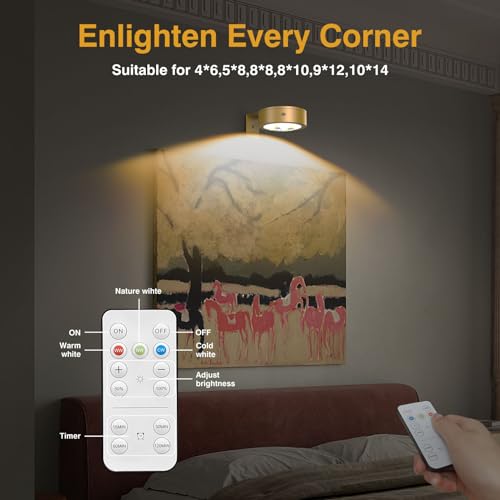EUIOKUN 3Pack Wireless Picture Light, Remote Controlled