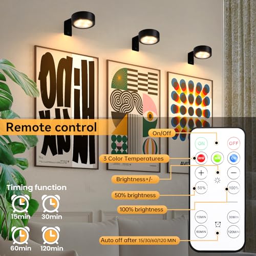 KELUOLY 4-Pack Remote Controlled Picture Frame Lights