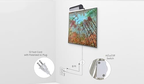 Plug-in Picture Light Gallery Lighting, Brushed Satin Brass