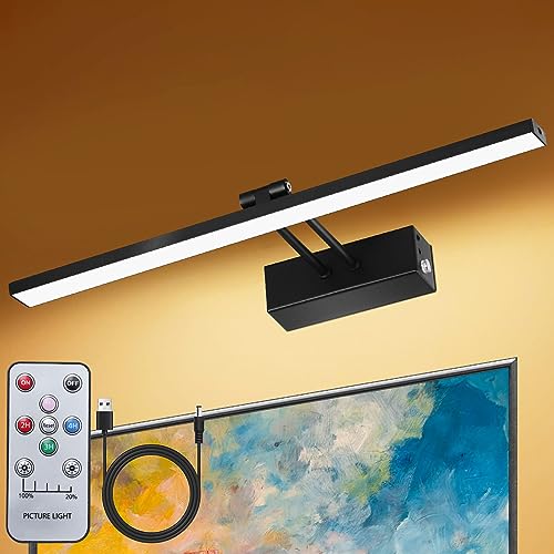 YQNLIFA Picture Light, Battery Operated 16” Art Light