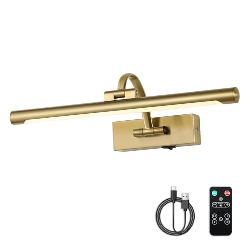 Remote Controlled Battery Operated Art Light - Dimmable