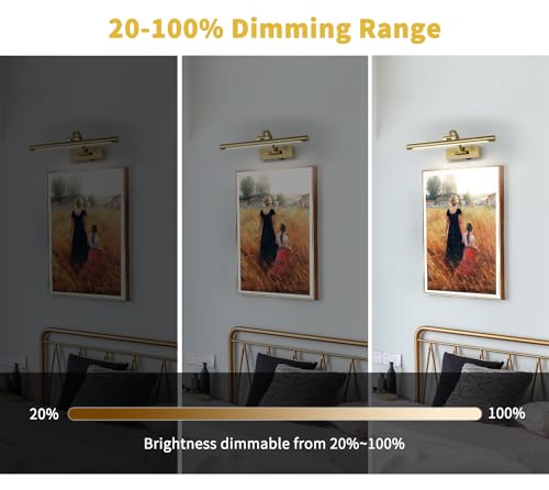 Remote Controlled Battery Operated Art Light - Dimmable