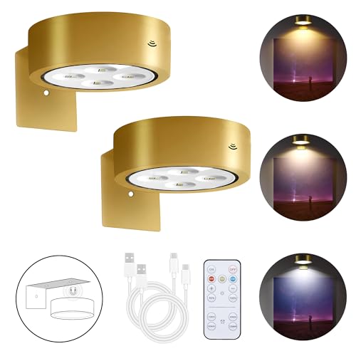 Pack of 2 Rechargeable LED Picture Lights with Remote