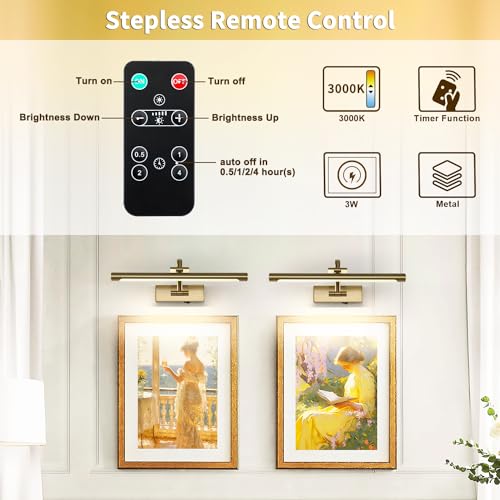 Remote Controlled Battery Operated Art Light - Dimmable