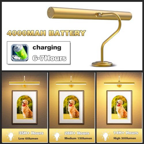 Gold Wireless Picture Light with Remote Control, Timer