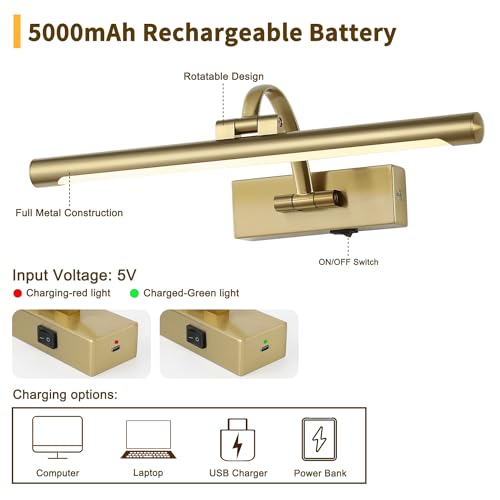 Remote Controlled Battery Operated Art Light - Dimmable