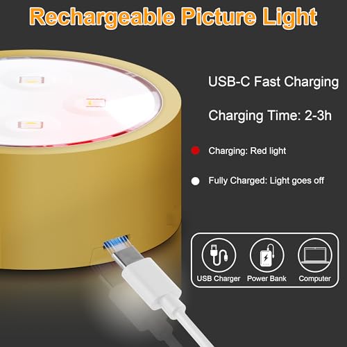 Pack of 2 Rechargeable LED Picture Lights with Remote