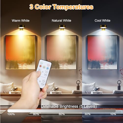 Pack of 2 Rechargeable LED Picture Lights with Remote
