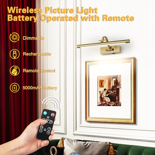 Remote Controlled Battery Operated Art Light - Dimmable