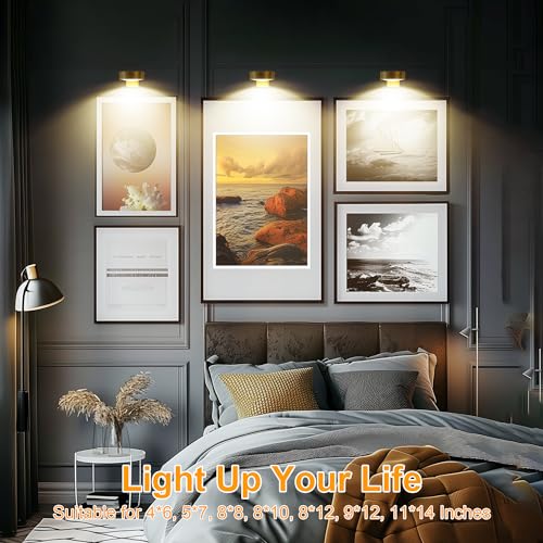 Pack of 2 Rechargeable LED Picture Lights with Remote