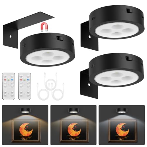 Rechargeable Battery Operated Picture Light with Remote Control