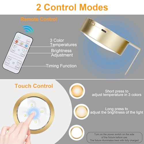 Pack of 2 Rechargeable LED Picture Lights with Remote