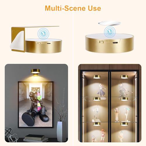 Pack of 2 Rechargeable LED Picture Lights with Remote