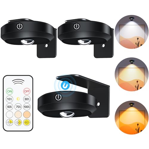 WILLED Rechargeable Wall Picture Lights with Remote Control