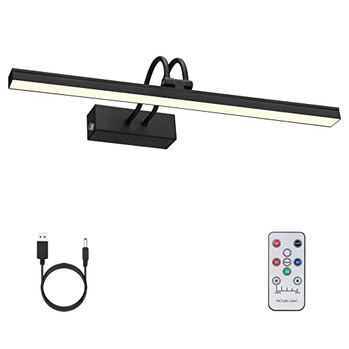 Wireless Rechargeable Picture Light with Remote & Dimmable