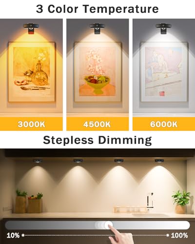 WILLED Rechargeable Wall Picture Lights with Remote Control