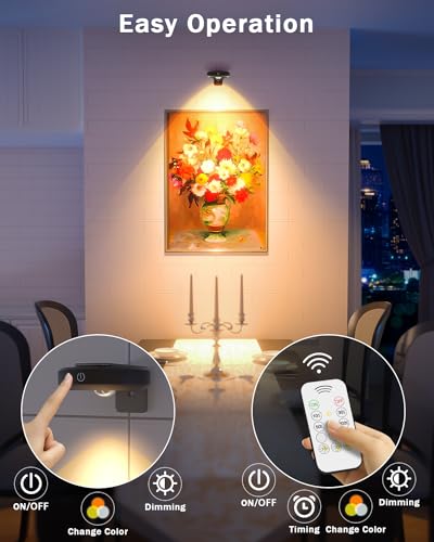 WILLED Rechargeable Wall Picture Lights with Remote Control