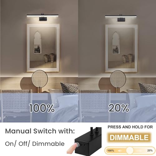 Wireless Rechargeable Picture Light with Remote & Dimmable
