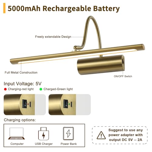 Golden Wireless Picture Light with Remote Control