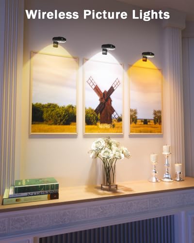 WILLED Rechargeable Wall Picture Lights with Remote Control